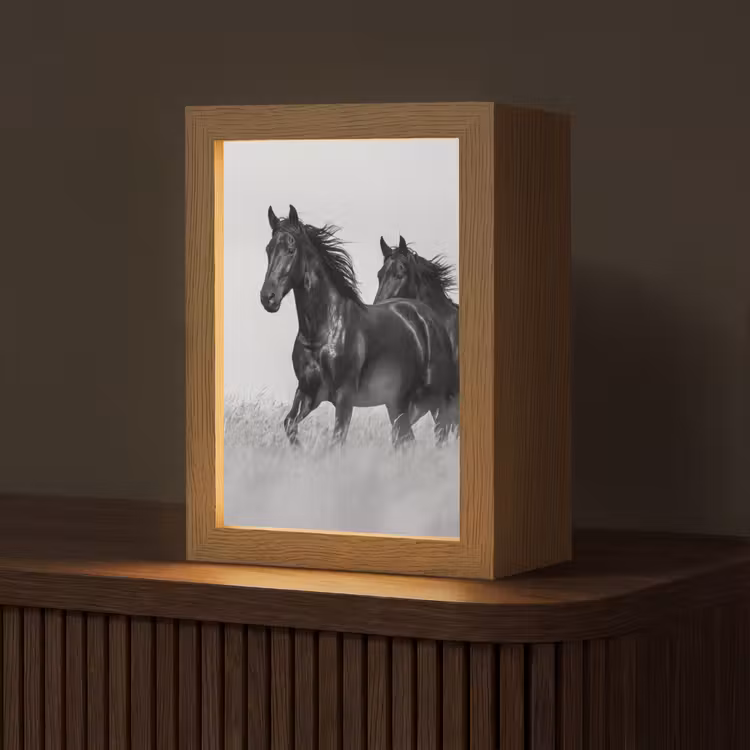 Paarden - Gras - Zwart - Wit Light Box met kabel (Tafellamp) klein -z3d_website
