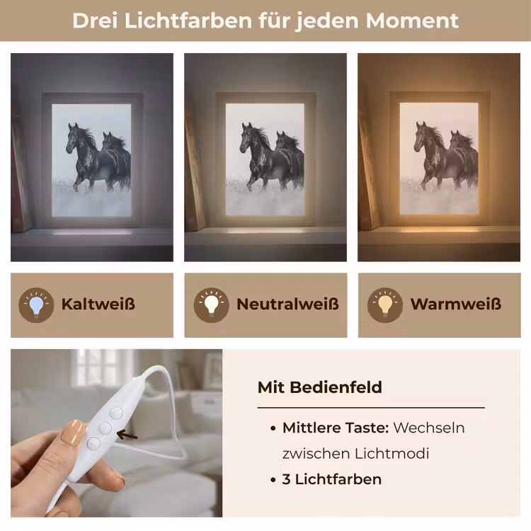 Paarden - Gras - Zwart - Wit Light Box met kabel (Tafellamp) klein -USP_lichtkleurDE