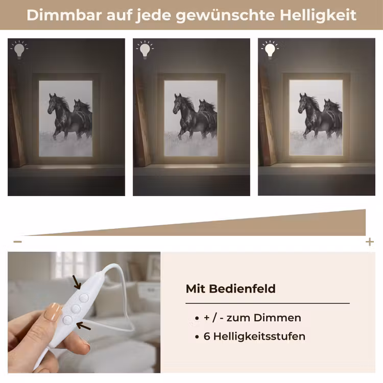 Paarden - Gras - Zwart - Wit Light Box met kabel (Tafellamp) klein -USP_dimbaarDE