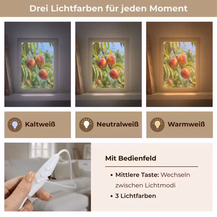 Perzik - Bladeren - Zonlicht Light Box met kabel (Tafellamp) klein -USP_lichtkleurDE