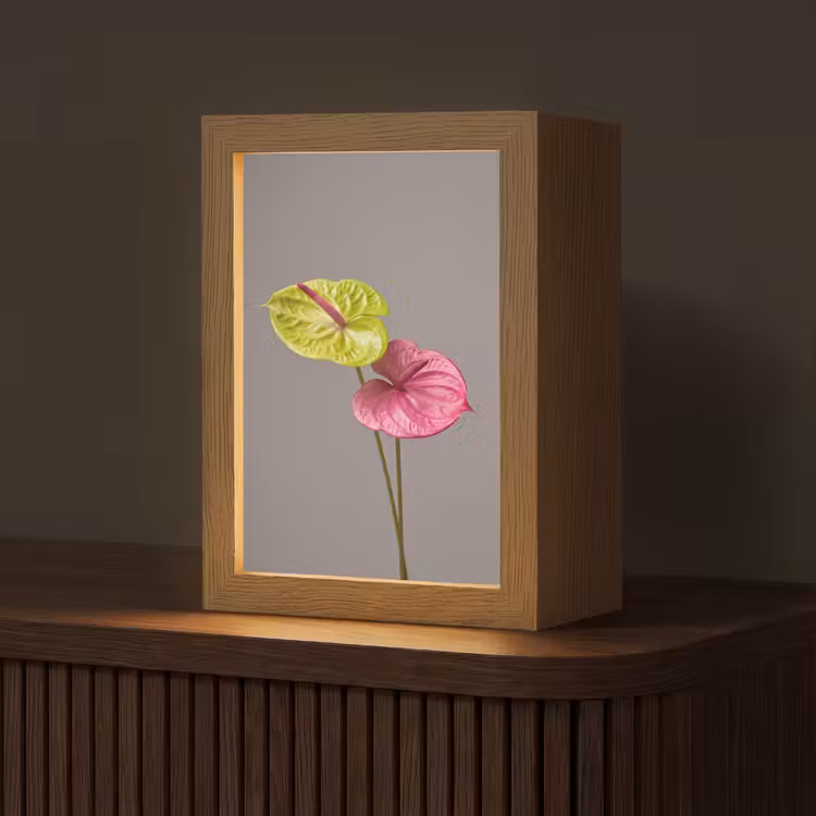 Planten - Anthurium - Groen - Roze Light Box met kabel (Tafellamp) klein -z3d_website