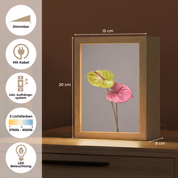 Planten - Anthurium - Groen - Roze Light Box met kabel (Tafellamp) klein -USP_DE