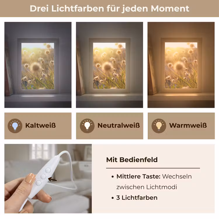 Planten - Natuur - Bloemen - Zon - Horizon Light Box met kabel (Tafellamp) klein -USP_lichtkleurDE
