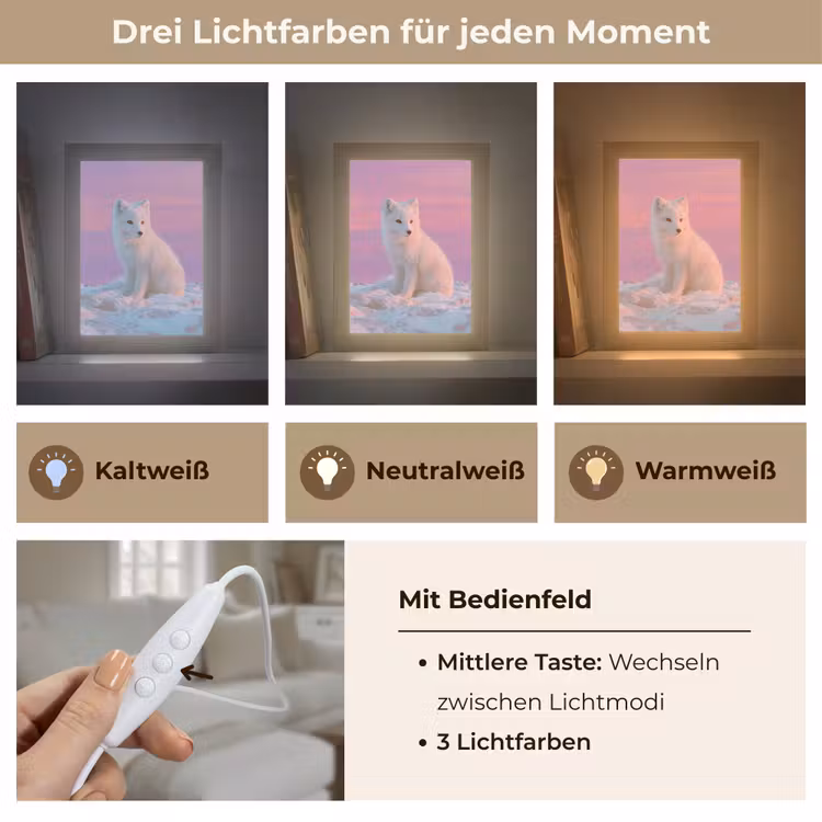 Poolvos - Sneeuw - Roze Light Box met kabel (Tafellamp) klein -USP_lichtkleurDE