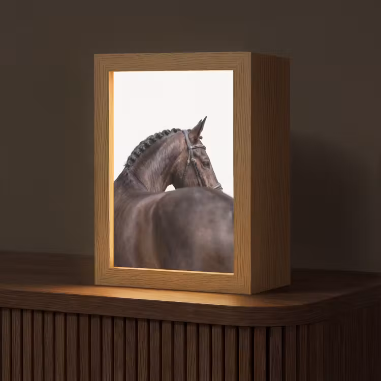 Portret - Paard - Elegant Light Box met kabel (Tafellamp) klein -z3d_website