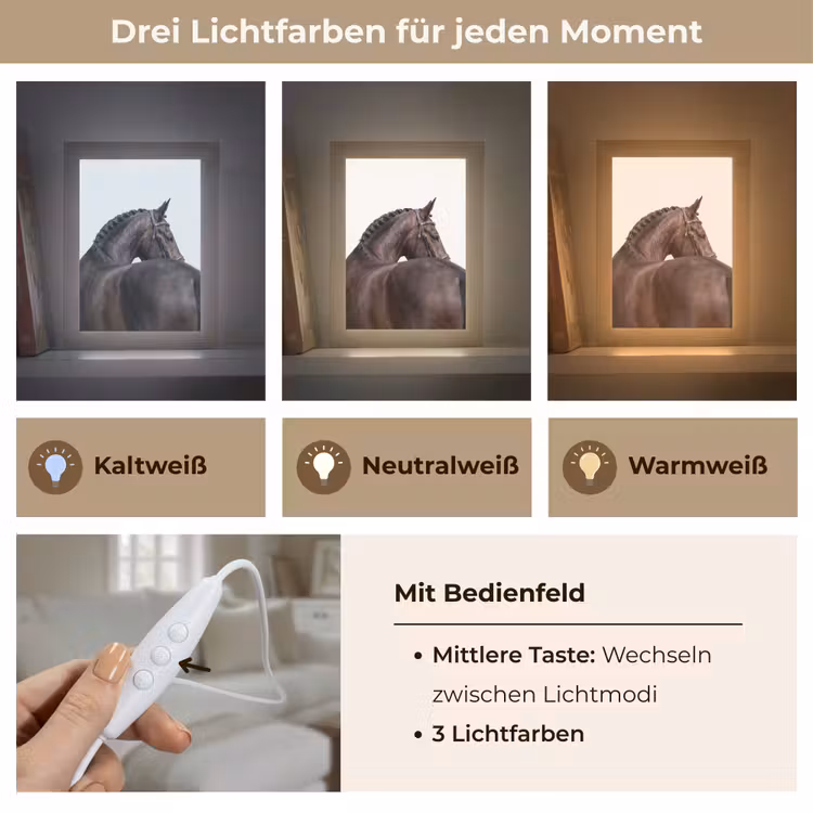 Portret - Paard - Elegant Light Box met kabel (Tafellamp) klein -USP_lichtkleurDE
