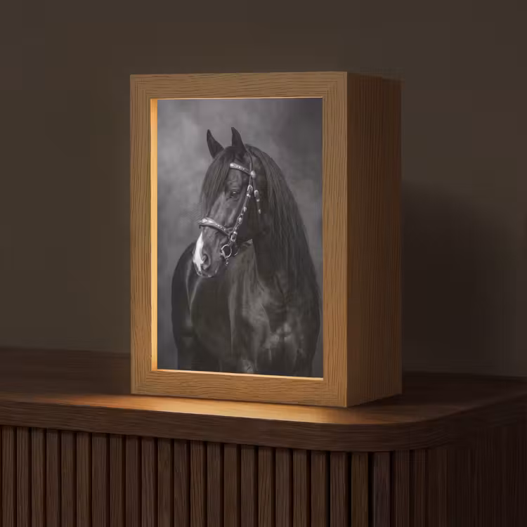 Portret - Paard - Zwart Light Box met kabel (Tafellamp) klein -z3d_website