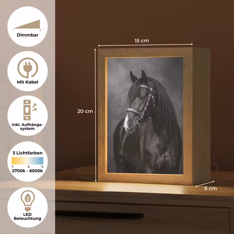 Portret - Paard - Zwart Light Box met kabel (Tafellamp) klein -USP_DE