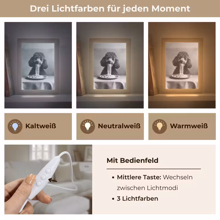 Poedel - Hond - Zwart - Wit - Schattig - Pasta Light Box met kabel (Tafellamp) klein -USP_lichtkleurDE