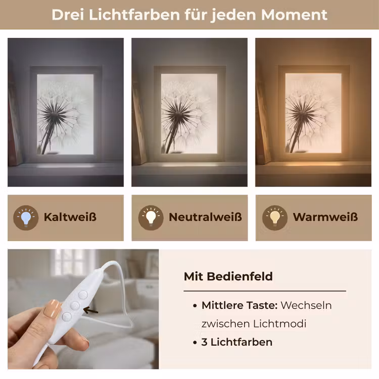Paardenbloem - Minimalistisch - Wit Light Box met kabel (Tafellamp) klein -USP_lichtkleurDE