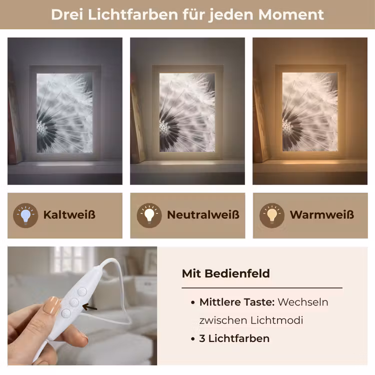 Paardenbloem - Zwart - Wit Light Box met kabel (Tafellamp) klein -USP_lichtkleurDE