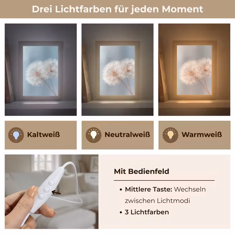 Paardenbloemen - Pluisjes - Wit Light Box met kabel (Tafellamp) klein -USP_lichtkleurDE
