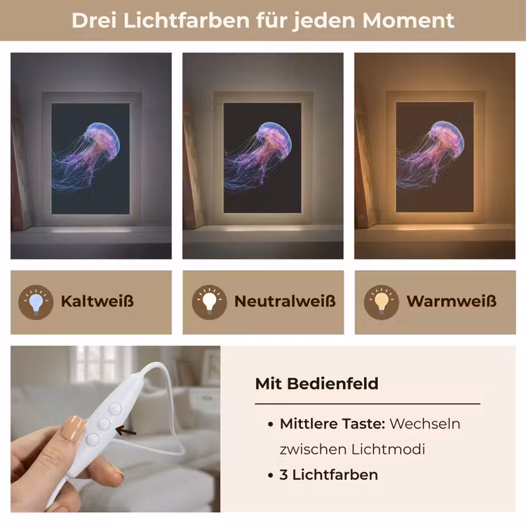 Kwal - Doorzichtig - Roze - Tentakels Light Box met kabel (Tafellamp) klein -USP_lichtkleurDE