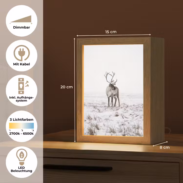 Rendier - Gewei - Sneeuw - Winter Light Box met kabel (Tafellamp) klein -USP_DE