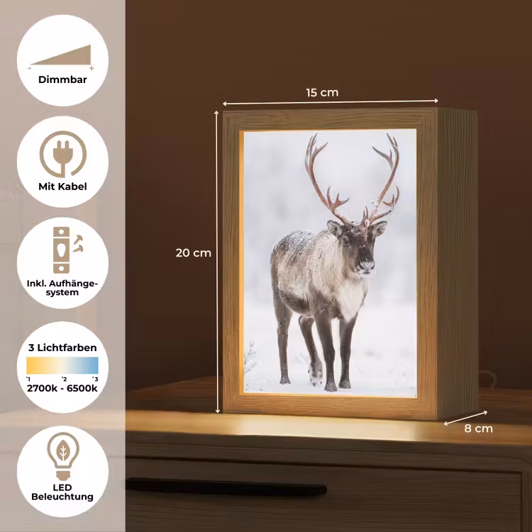 Rendier - Gewei - Toendra - Sneeuw - Wild Light Box met kabel (Tafellamp) klein -USP_DE