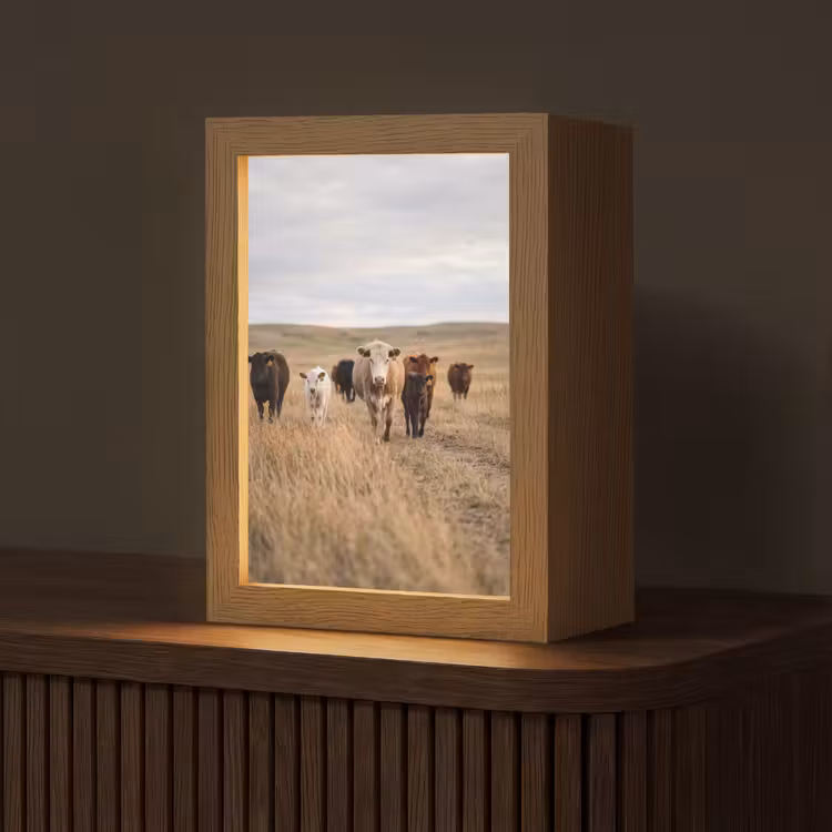 Runderen - Kudde - Landschap - Weide - Rustig Light Box met kabel (Tafellamp) klein -z3d_website