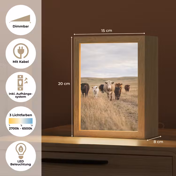 Runderen - Kudde - Landschap - Weide - Rustig Light Box met kabel (Tafellamp) klein -USP_DE