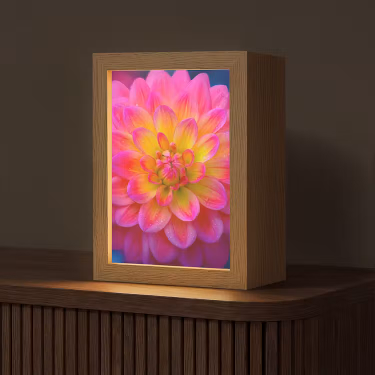 Roze - Dahlia - Kleurrijk Light Box met kabel (Tafellamp) klein -z3d_website