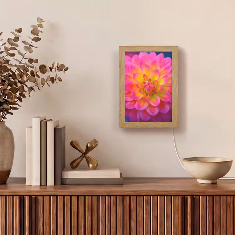 Roze - Dahlia - Kleurrijk Light Box met kabel (Tafellamp) klein -sfeer2