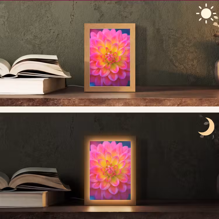 Roze - Dahlia - Kleurrijk Light Box met kabel (Tafellamp) klein -sfeer3