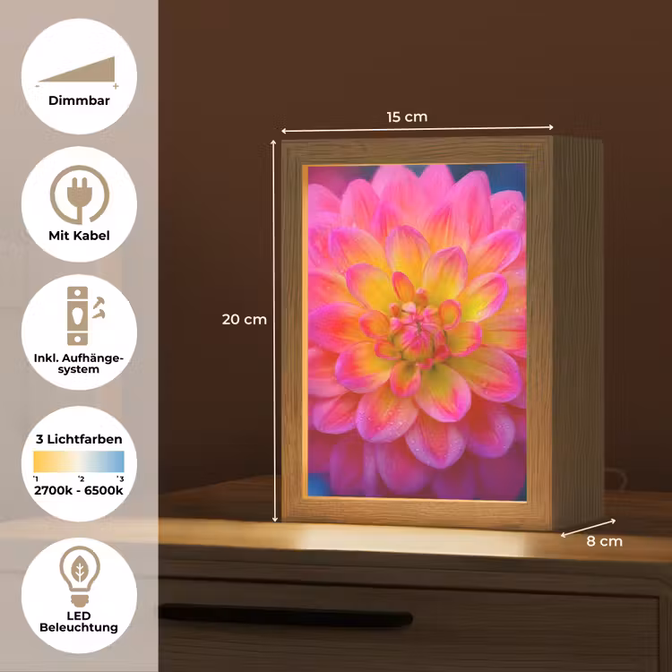 Roze - Dahlia - Kleurrijk Light Box met kabel (Tafellamp) klein -USP_DE