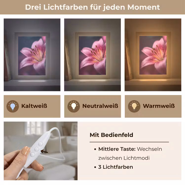 Roze - lelie - Dauwdruppels Light Box met kabel (Tafellamp) klein -USP_lichtkleurDE