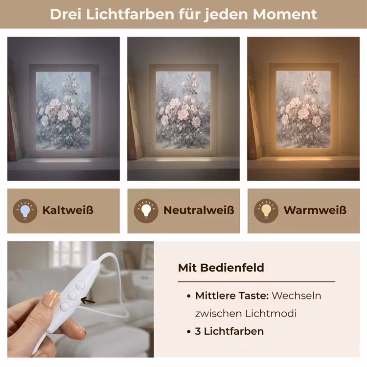 Rozen - Illustratie - Roze Light Box met kabel (Tafellamp) klein -USP_lichtkleurDE