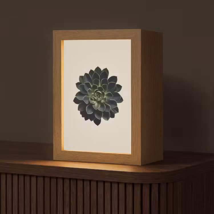 Rozet - Cirkelvormig - Donkergroen Light Box met kabel (Tafellamp) klein -z3d_website