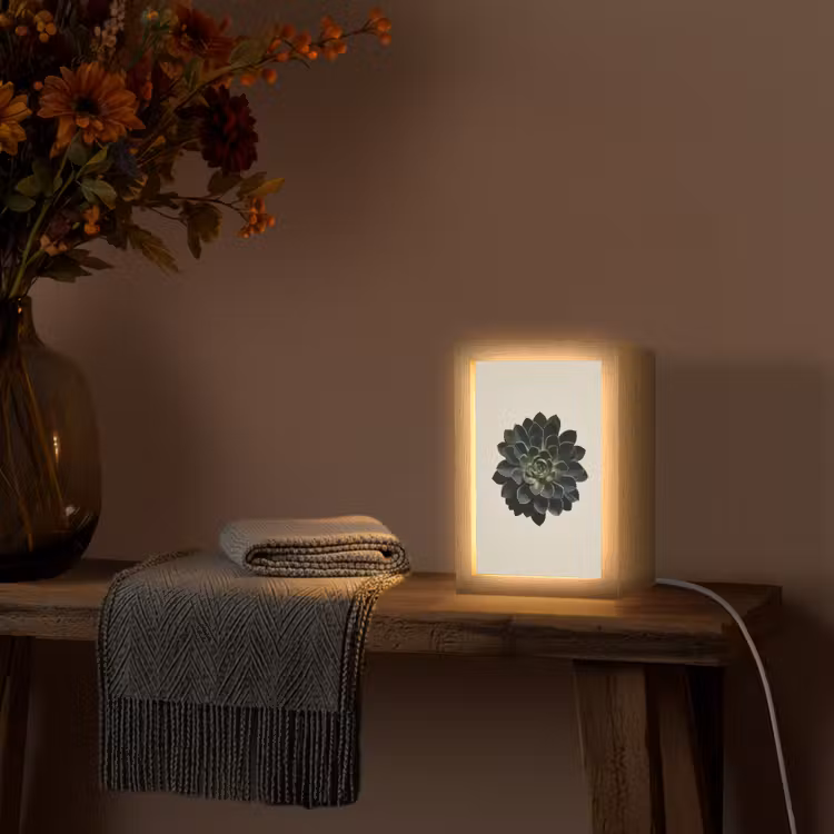 Rozet - Cirkelvormig - Donkergroen Light Box met kabel (Tafellamp) klein -sfeer4
