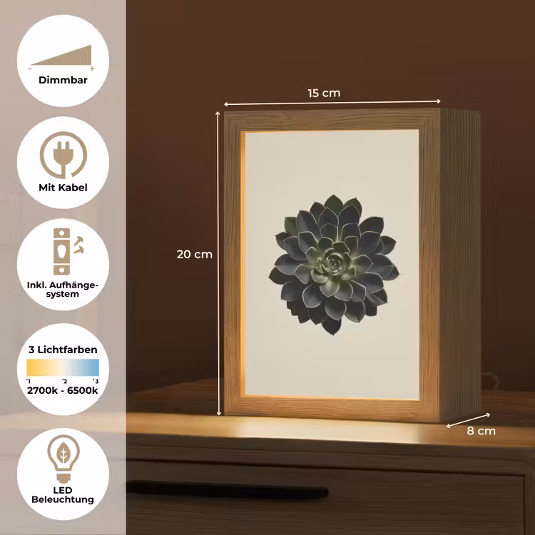 Rozet - Cirkelvormig - Donkergroen Light Box met kabel (Tafellamp) klein -USP_DE