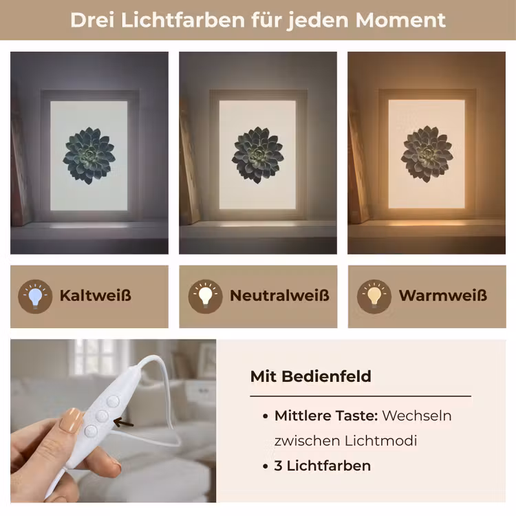 Rozet - Cirkelvormig - Donkergroen Light Box met kabel (Tafellamp) klein -USP_lichtkleurDE