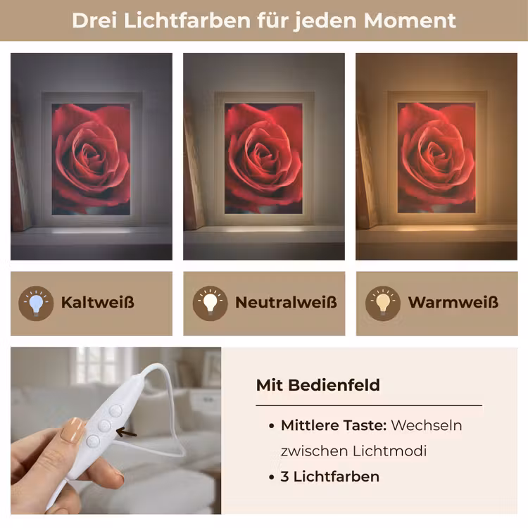 Rood - Roos - Romantisch Light Box met kabel (Tafellamp) klein -USP_lichtkleurDE