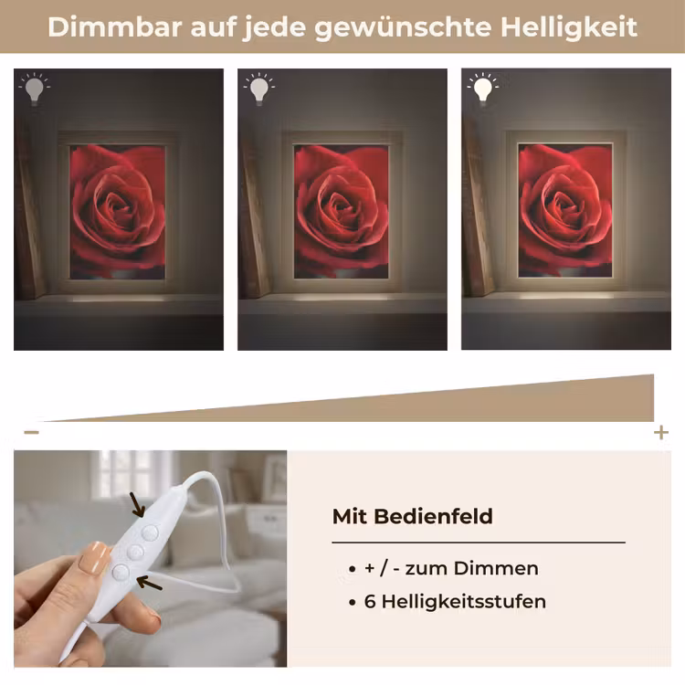 Rood - Roos - Romantisch Light Box met kabel (Tafellamp) klein -USP_dimbaarDE