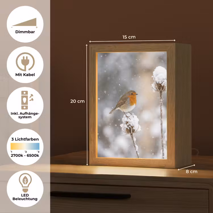 Roodborstje - Gedroogde bloem - Sneeuw - Winter - Vertederend Light Box met kabel (Tafellamp) klein -USP_DE