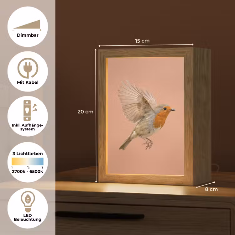 Roodborst - Natuur - Roze Light Box met kabel (Tafellamp) klein -USP_DE