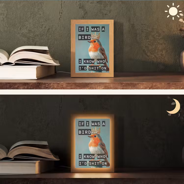 Roodborstje - Vogel - Blauw - Decoratie Light Box met kabel (Tafellamp) klein -sfeer3