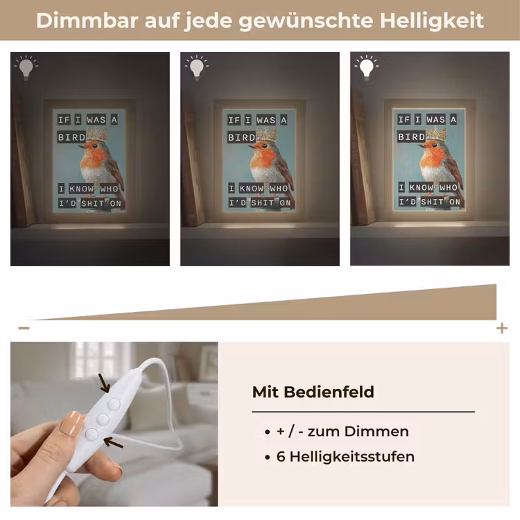 Roodborstje - Vogel - Blauw - Decoratie Light Box met kabel (Tafellamp) klein -USP_dimbaarDE