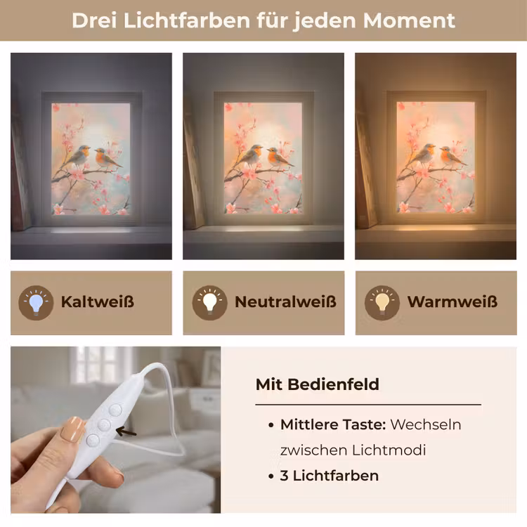 Roodborstjes - Sierlijk - Bloesemtak Light Box met kabel (Tafellamp) klein -USP_lichtkleurDE