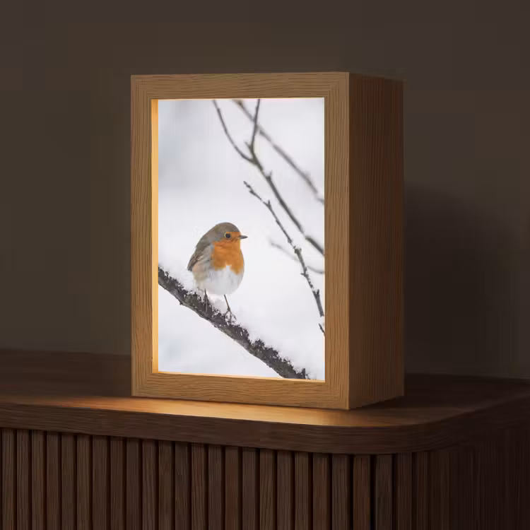 Roodborstje - Tak - Sneeuw - Winter - Levendig Light Box met kabel (Tafellamp) klein -z3d_website