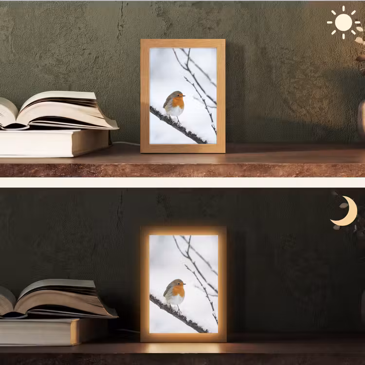 Roodborstje - Tak - Sneeuw - Winter - Levendig Light Box met kabel (Tafellamp) klein -sfeer3