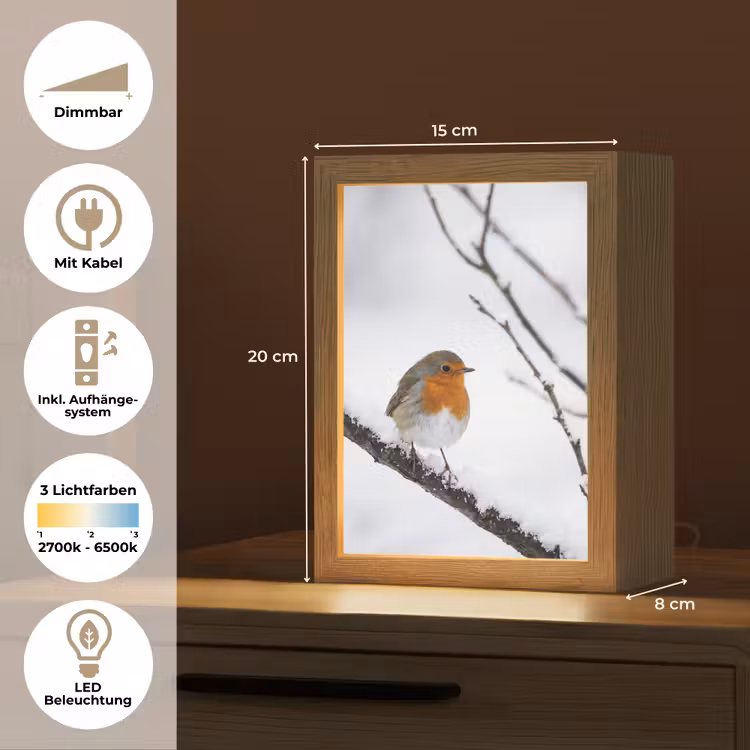 Roodborstje - Tak - Sneeuw - Winter - Levendig Light Box met kabel (Tafellamp) klein -USP_DE