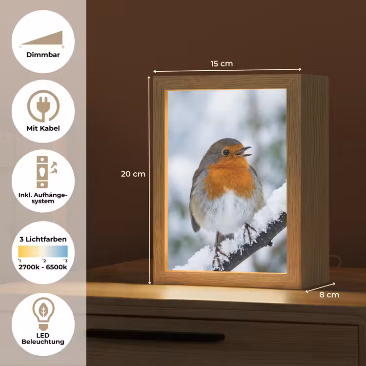 Roodborstje - Tak - Sneeuw - Winter - Levendig Light Box met kabel (Tafellamp) klein -USP_DE