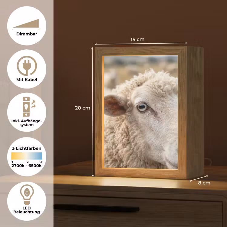 Schaap - Oog - Wit Light Box met kabel (Tafellamp) klein -USP_DE