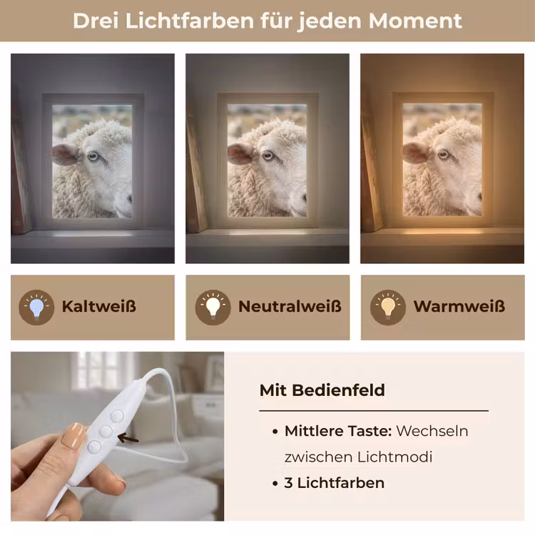 Schaap - Oog - Wit Light Box met kabel (Tafellamp) klein -USP_lichtkleurDE