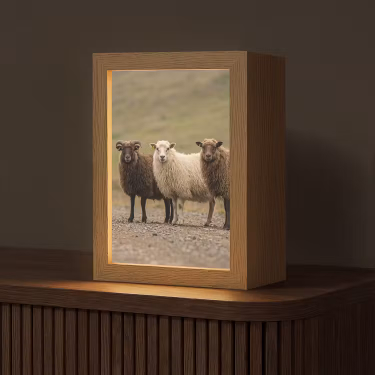 Schapen - Bruin - Wit - Grindpad Light Box met kabel (Tafellamp) klein -z3d_website