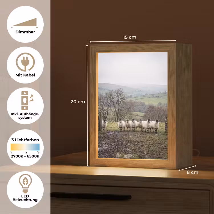 Schapen - Rij - Weide - Dieren - Platteland Light Box met kabel (Tafellamp) klein -USP_DE