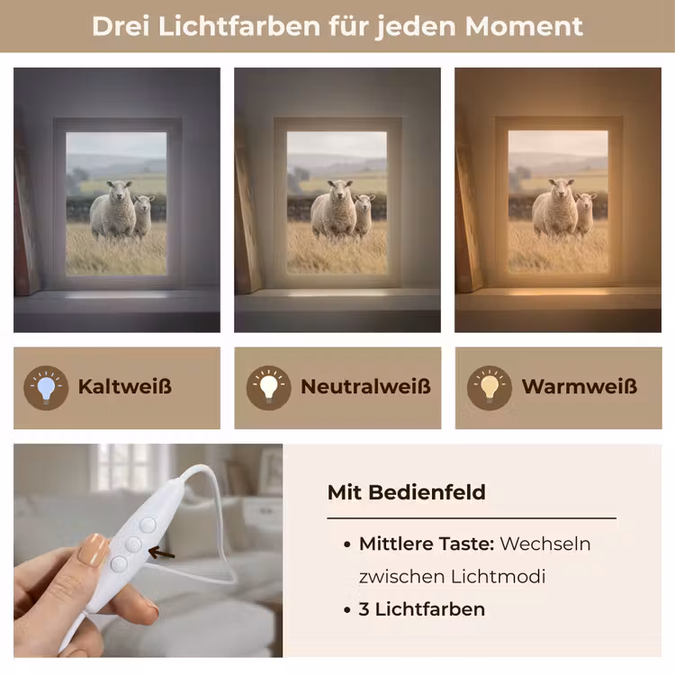 Schapen - Weidenlandschap - Heuvels Light Box met kabel (Tafellamp) klein -USP_lichtkleurDE