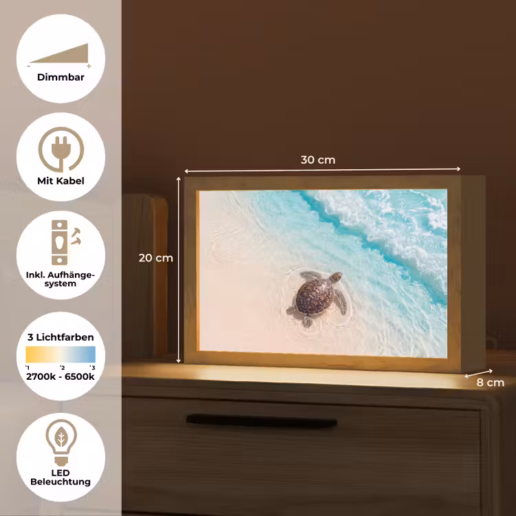 Schildpad - Helder water - Strand - Dieren - Natuur Light Box met kabel (Tafellamp) klein -USP_DE
