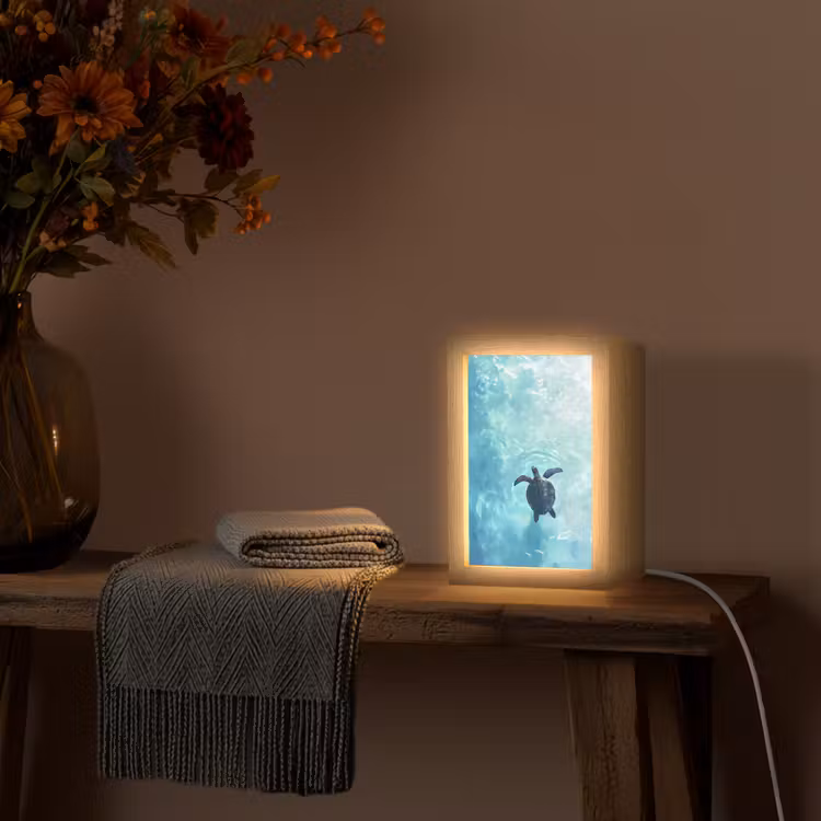 Schildpad - Zee - Blauw - Schittering Light Box met kabel (Tafellamp) klein -sfeer4