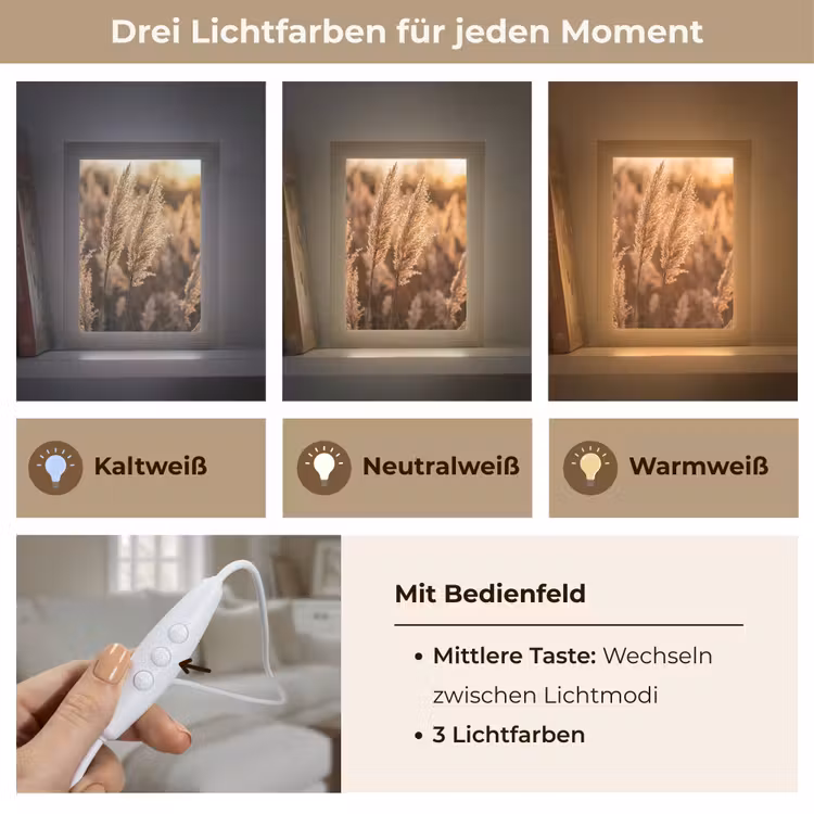 Rietpluimen - Gras - Zonsondergang - Goud - Serene Light Box met kabel (Tafellamp) klein -USP_lichtkleurDE